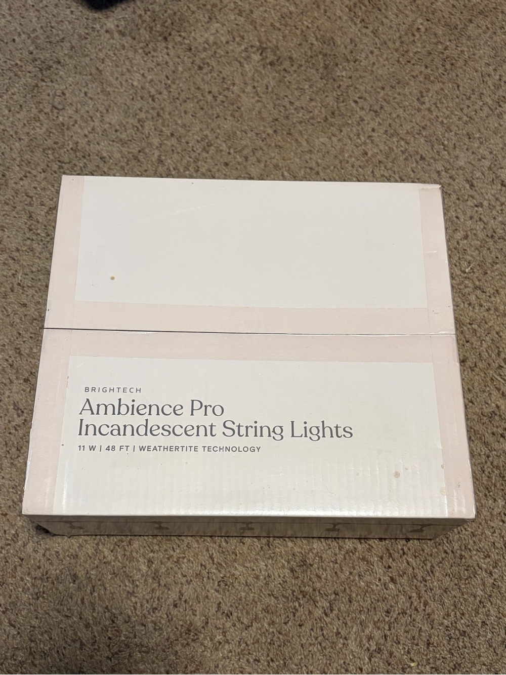 Ambience Pro Incandescent String Lights - White